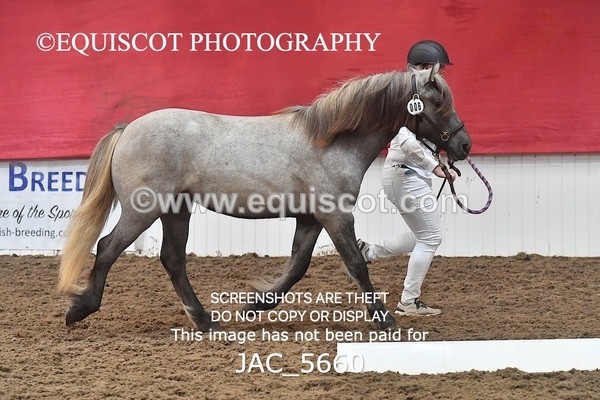 JAC_5660 - 6 Glenmuir Niamh