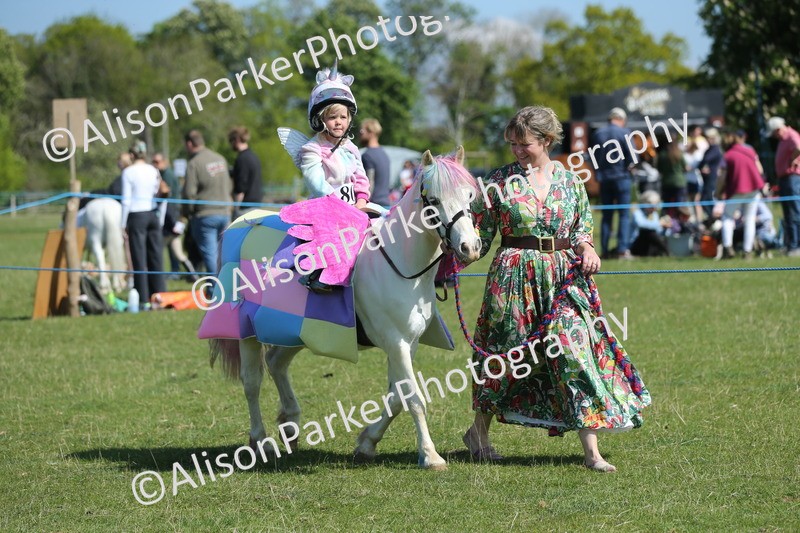 20250427-1751 - Class 5 - Fancy Dress