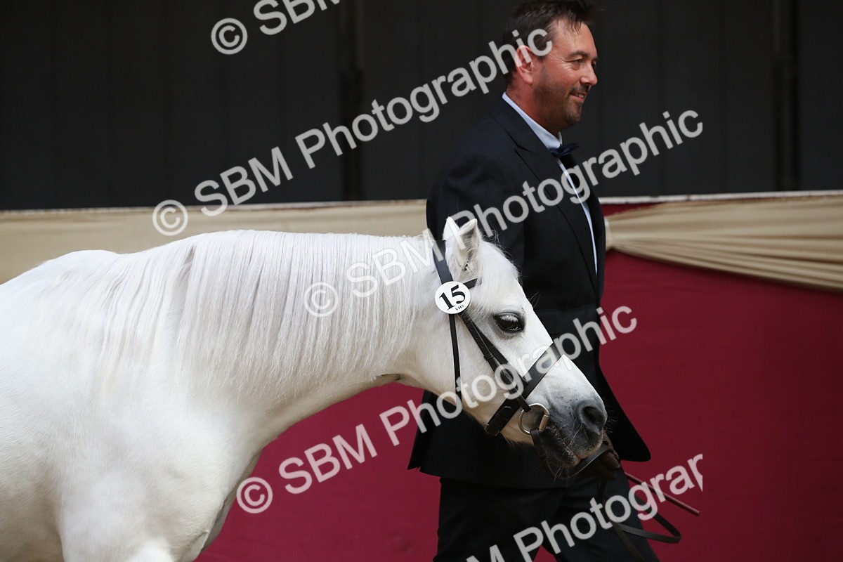 SBM_15105 - Class 501 M&M IH Supreme Final