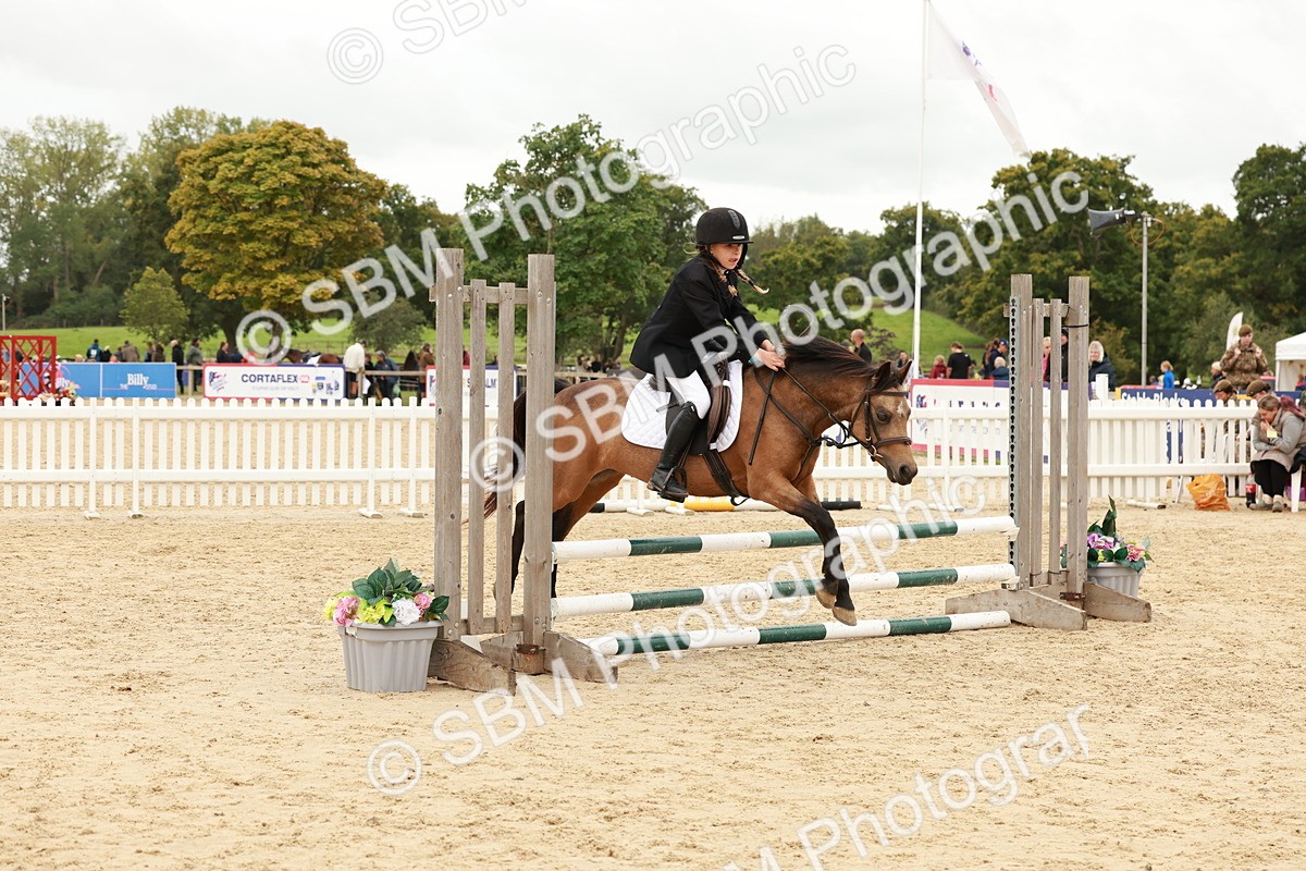 SBM_61869 - J12 - Junior Pony 55cm Championship