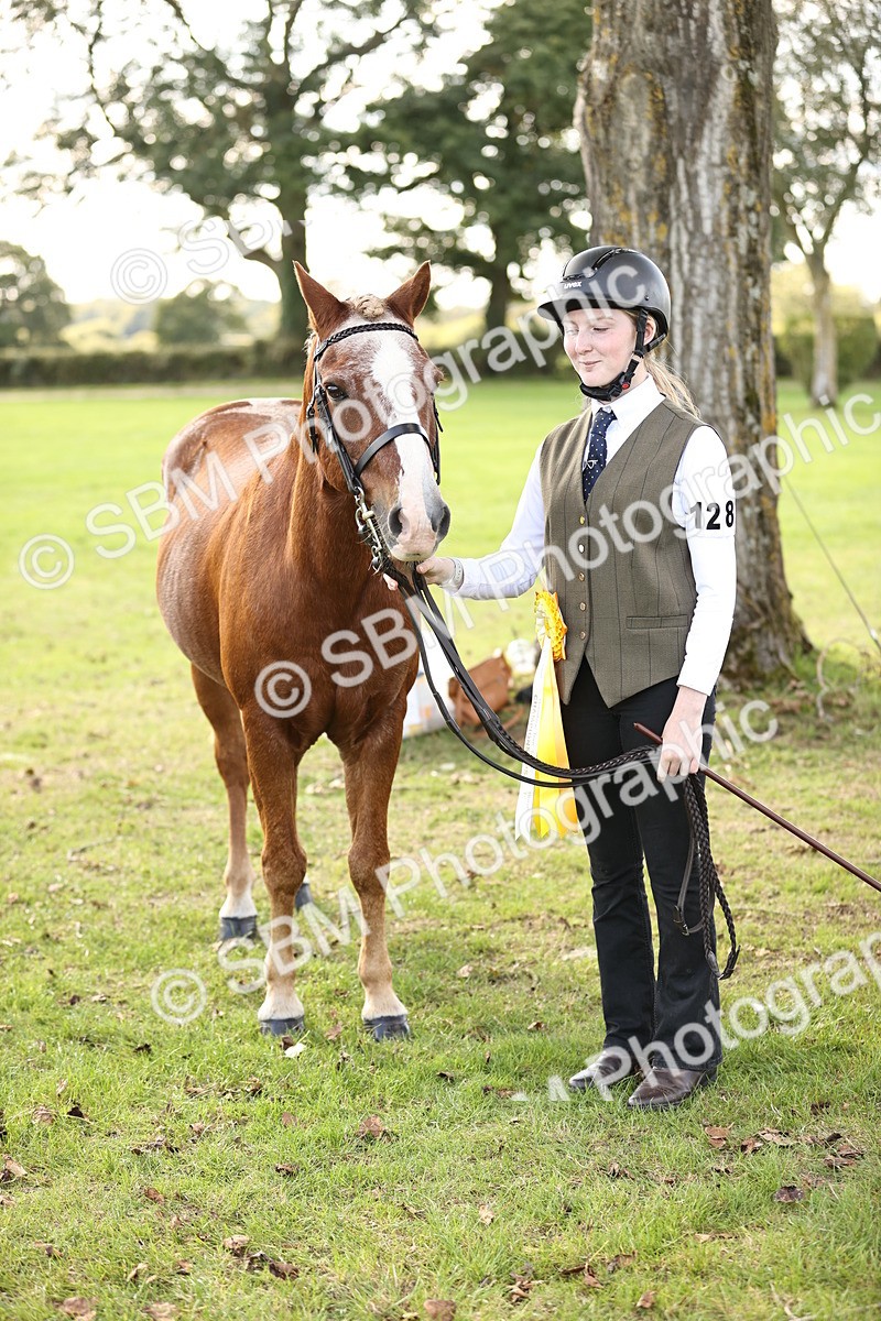 SBM_26282 - S5 - Novice & Newcomers In Hand