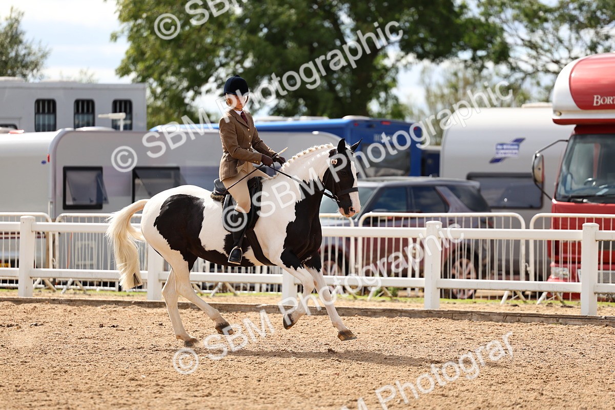 SBM_15848 - Class 314 - Family Horse - Pony