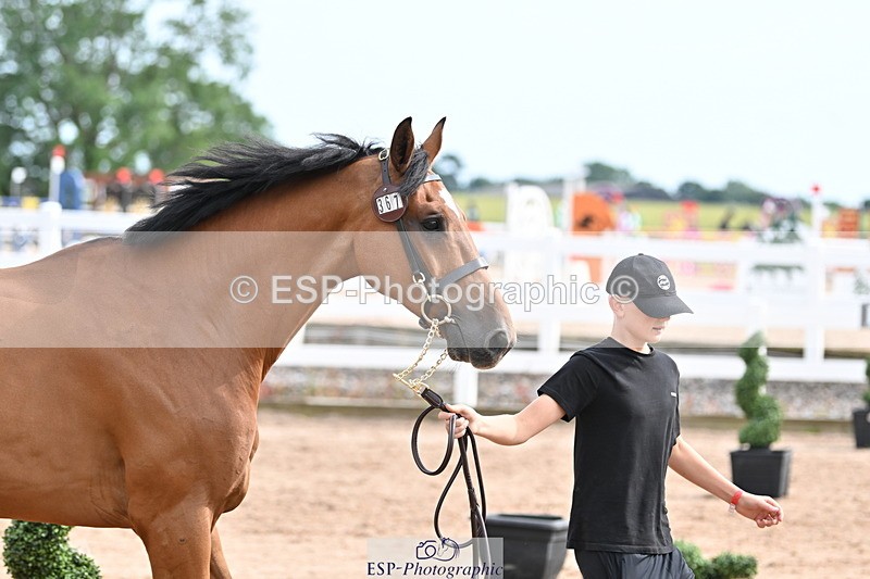 240717A-163852-03475 - Trot Up 4pm to 5pm