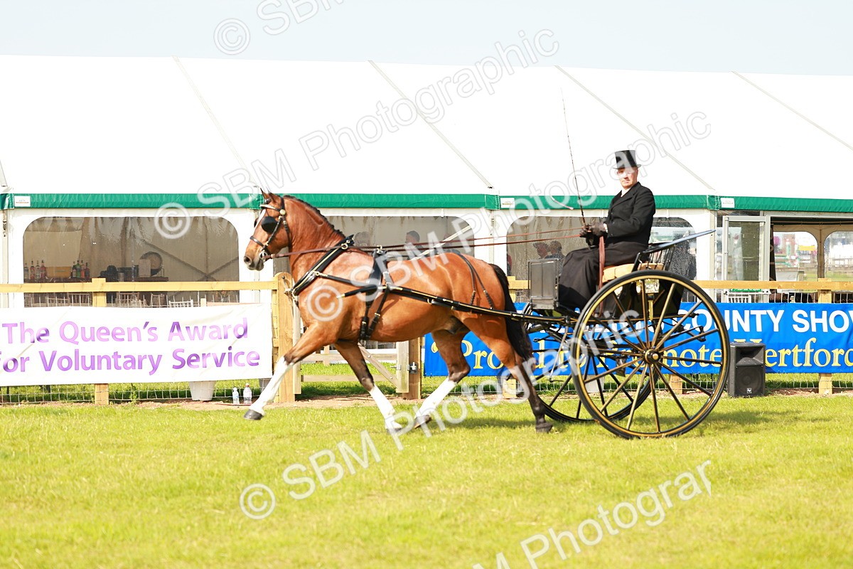SBM_01188