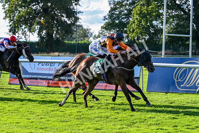 140926-Race 7-Forest Caper-7955 - Race 7 5.21pm Bowel Cancer Screening Programme Saves Lives Handicap
