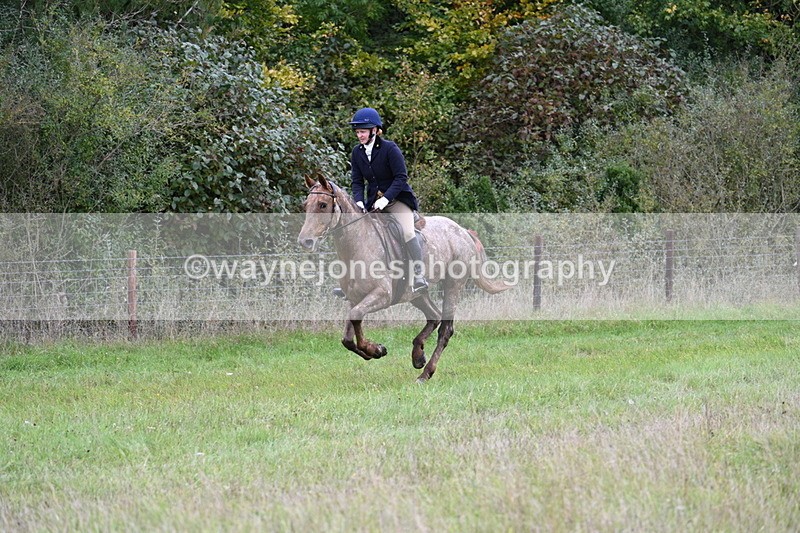 WJ7_3883 - Camera 1 Line 1