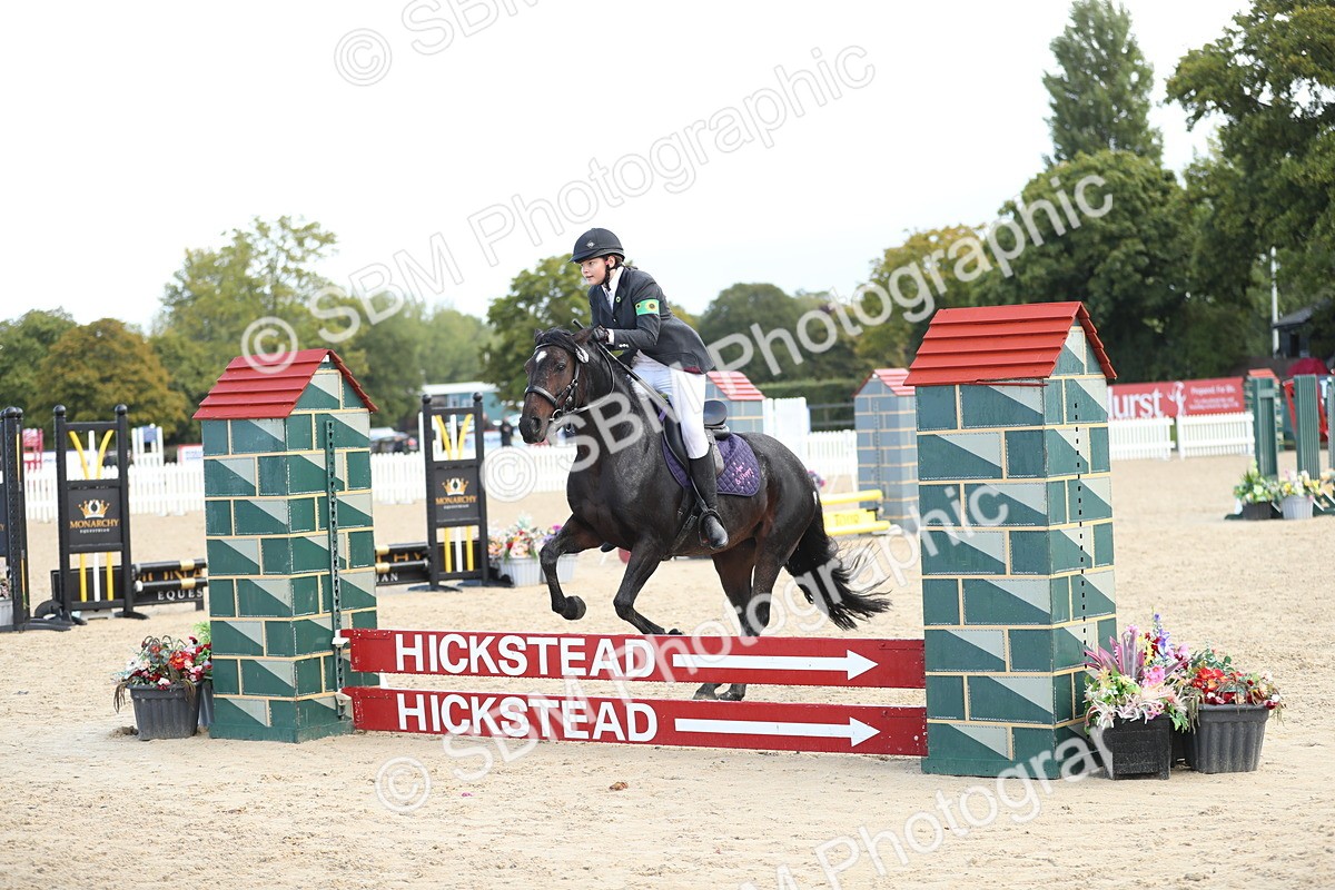 SBM_37280 - J20 - Junior Horse 50cm Championship