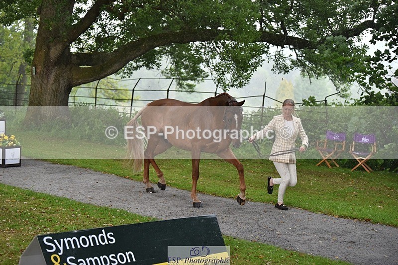 240522-151532-00209 - 309-GOLIATH_DU_LOIR-Yasmin_Ingham