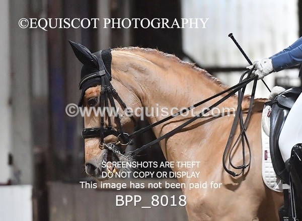 BPP_8018 - MED TEST 4