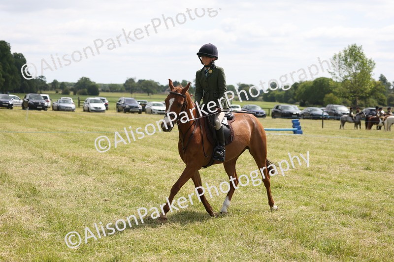 20260614-1870 - Class 21 - Novice Working Hunter Pony