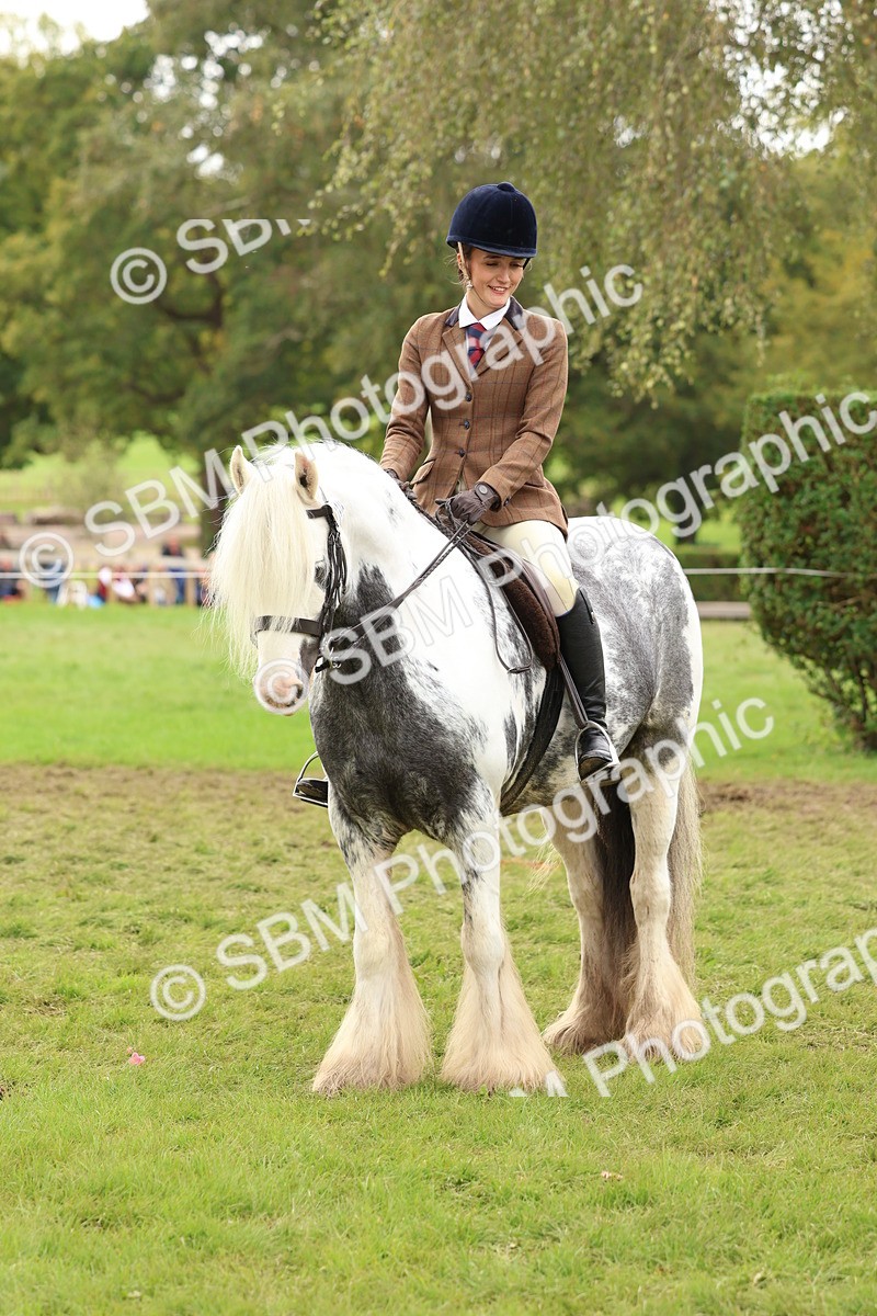 SBM_64466 - S58 - Coloured Pony Ridden