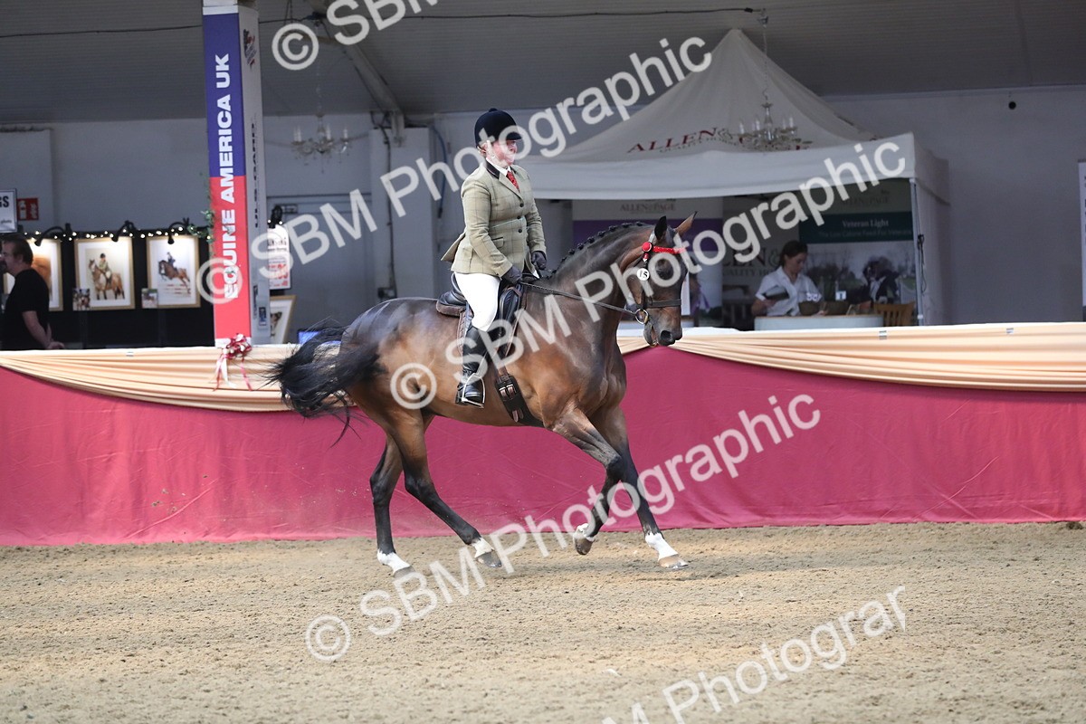 SBM_12378 - Class 108 Ridden Retired Racehorse- Pre Judging