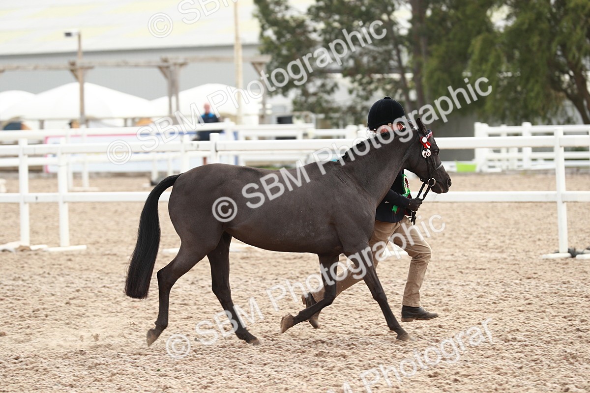 SBM_09601 - Class 201 Best Turned Out IH