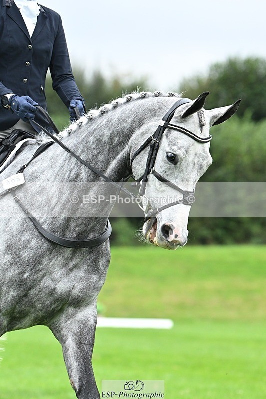 241024-110127-03118 - 503-Kathryn.Carmody-JOSELITO