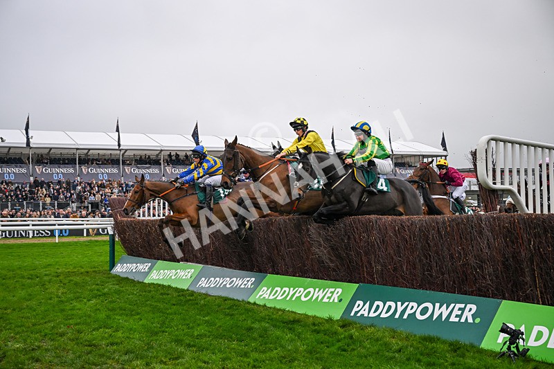 151125-Race 2-Cheerful Chap-2772 - Race 2