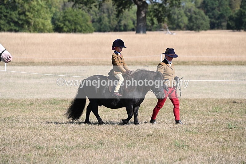WJ6_7389 - Class 34 Judges Choice