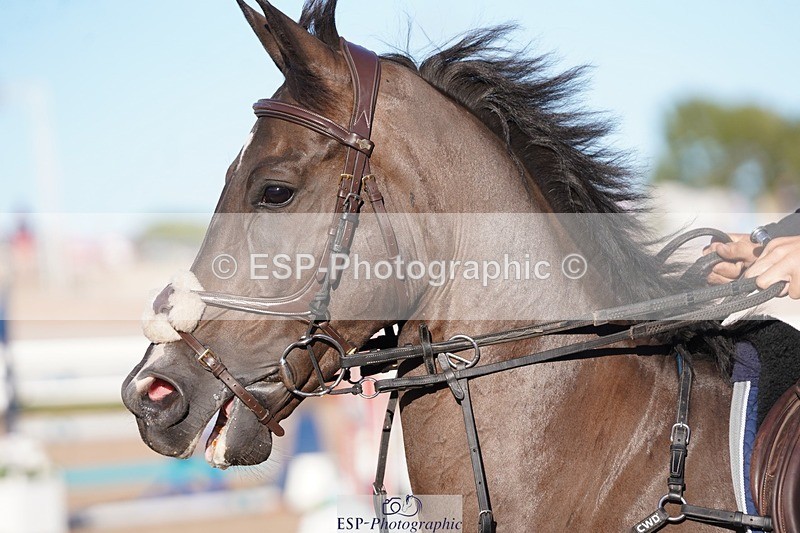 250627-192204-00507 - Cls 5 Junior 1.10m Open