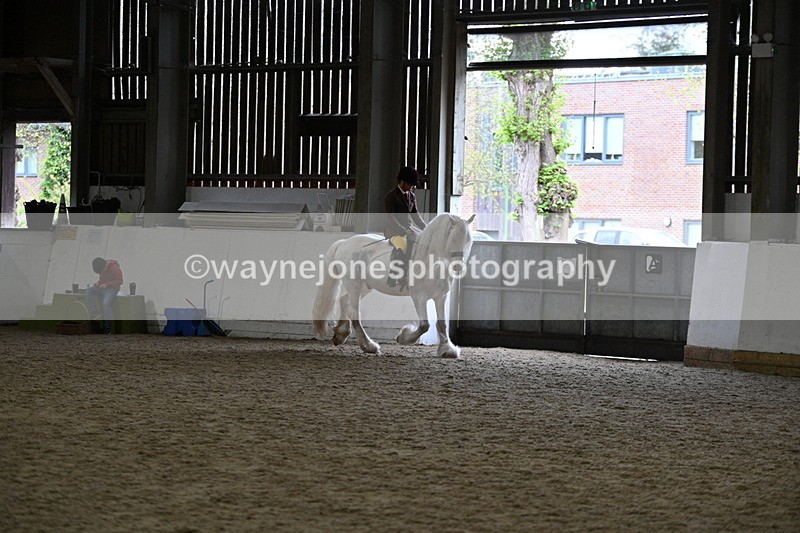 WJ7_3659 - Class 16 Ridden Coloured/ Odd Coloured