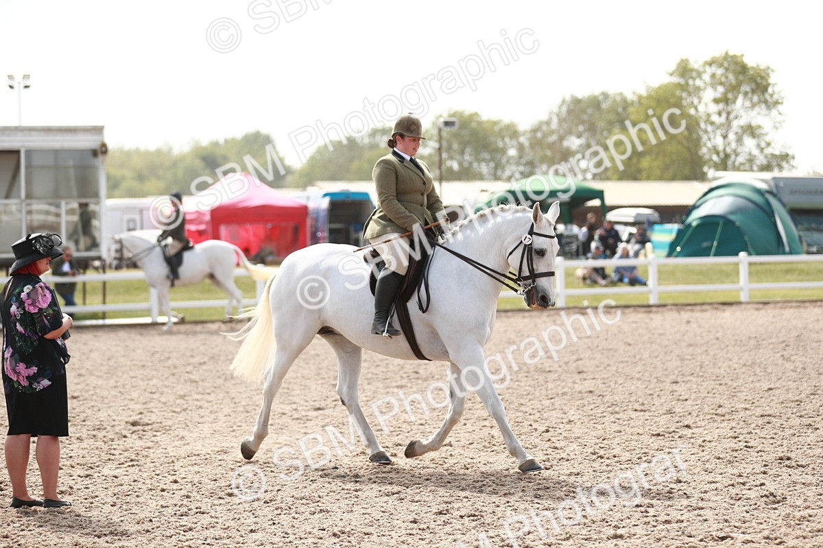 SBM_14847 - Class 212 Ridden Hunter - Small