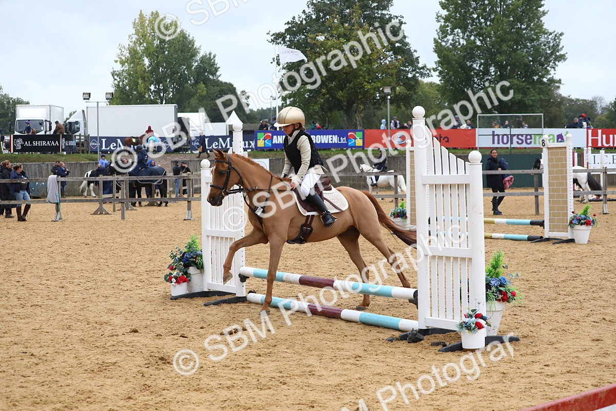 SBM_72023 - J3b - Mini Tour Junior Pony 40cm Championship