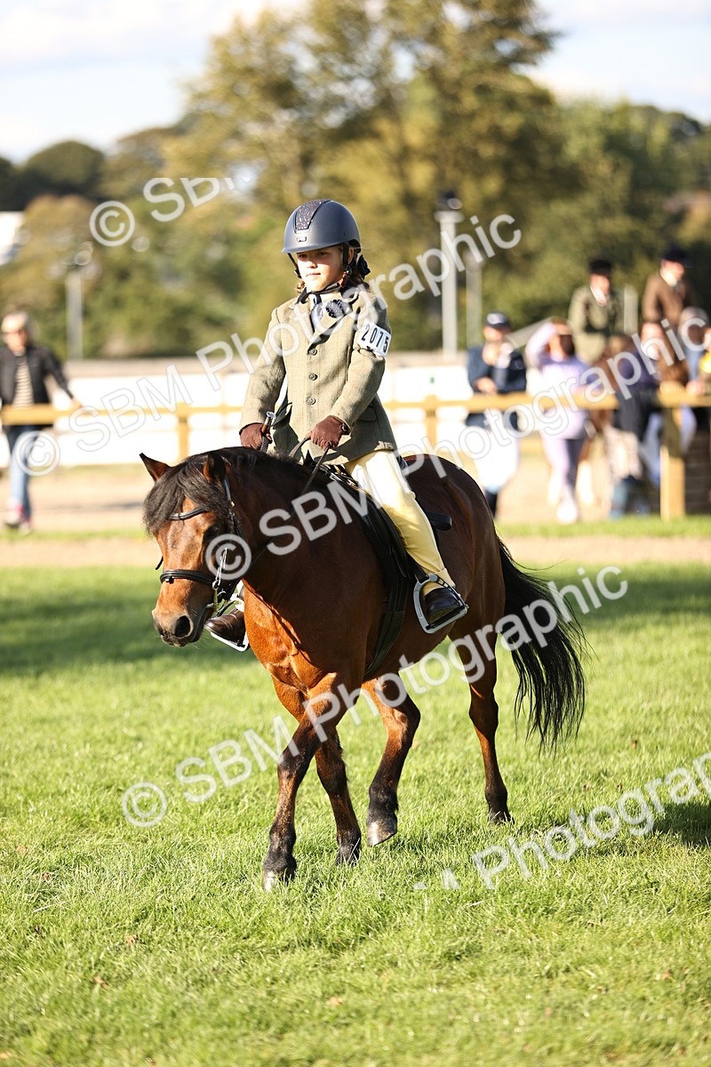 SBM_29432 - S7 - Novice & Newcomers Ridden Pony