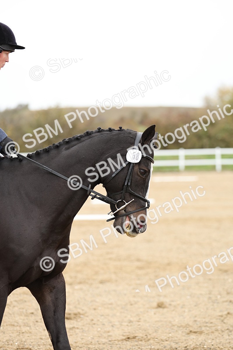 SBM_003073 - Class 8 - Novice 1