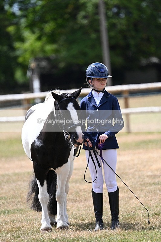 WJ7_1753 - Class 4 Prettiest Mare up to 14.2hh in hand