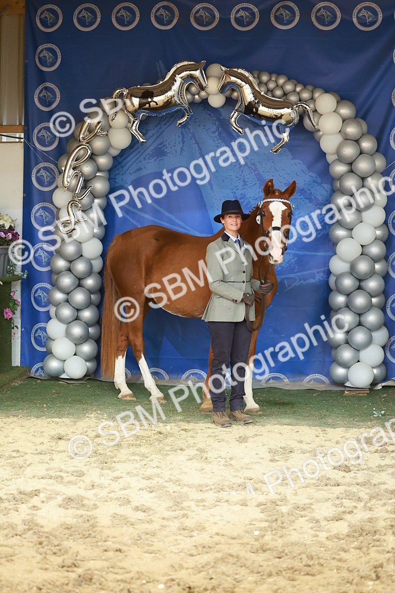 SBM_13723 - Class 104 - IH  Costume