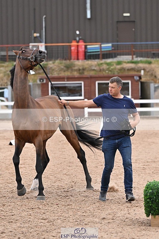 250716-141102-00951 - Trot Up 1.30 to 2.30