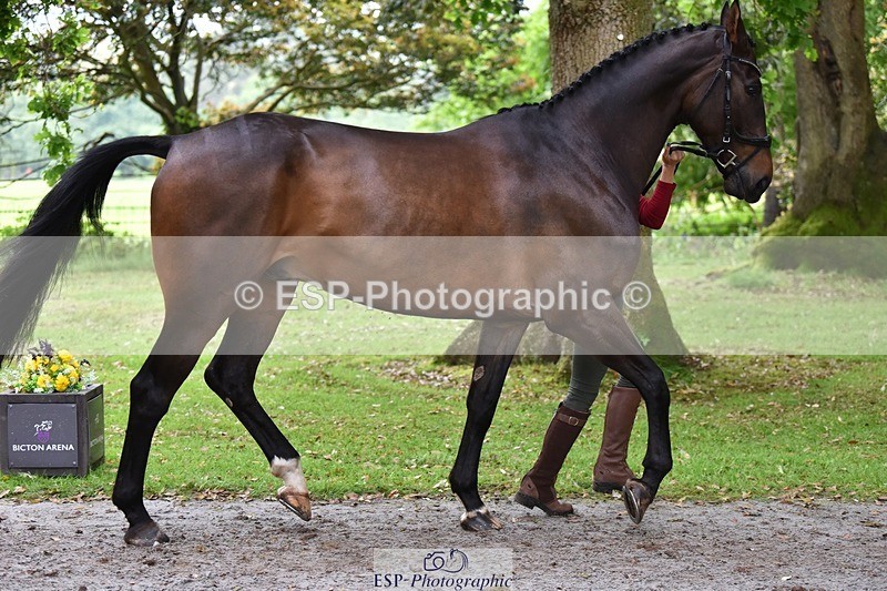 240522-172148-01550 - 254-KILBUNNY_RIOJA-Kate_Penny