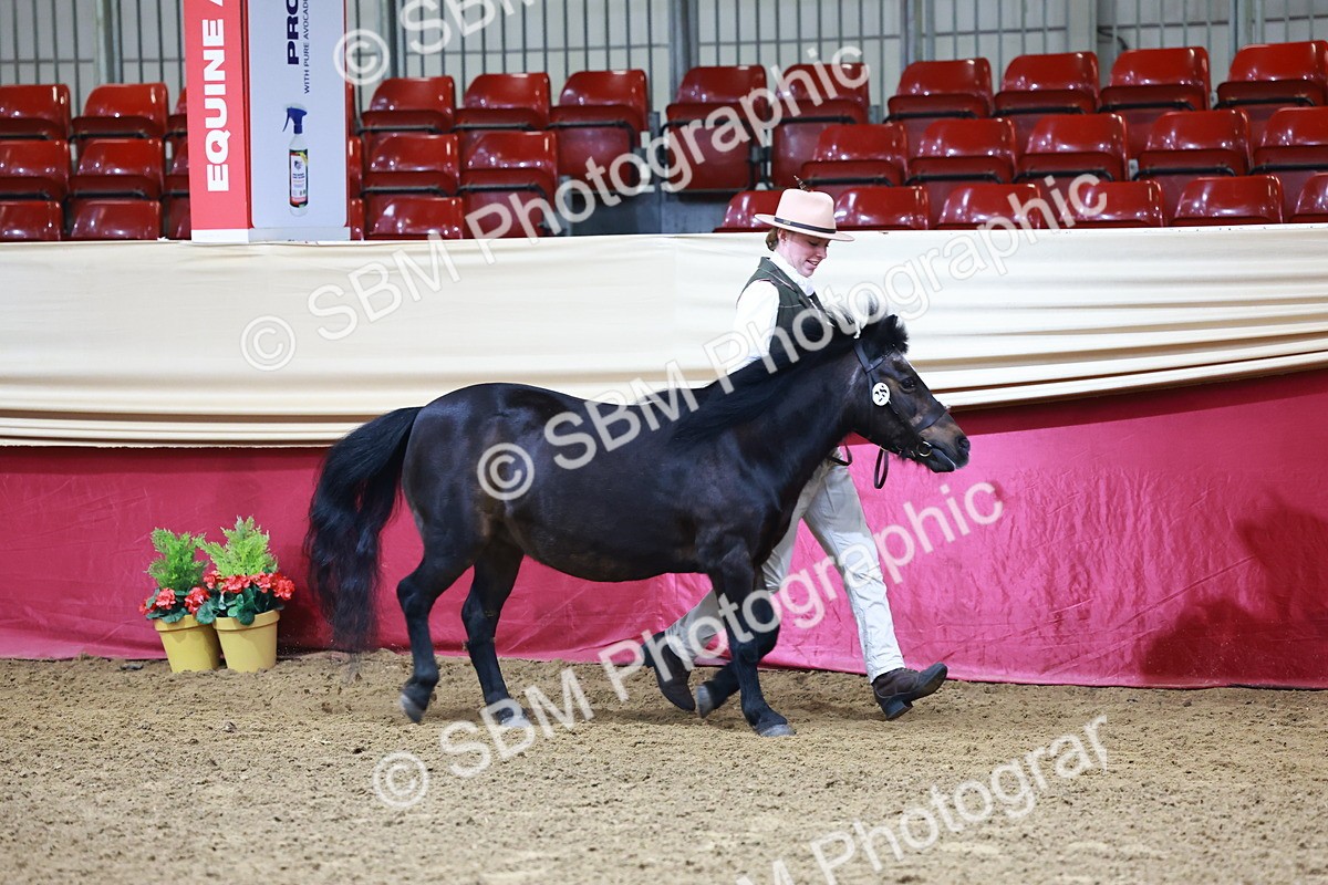 SBM_21761 - Class 901 - Supreme Final - IH  Diamond