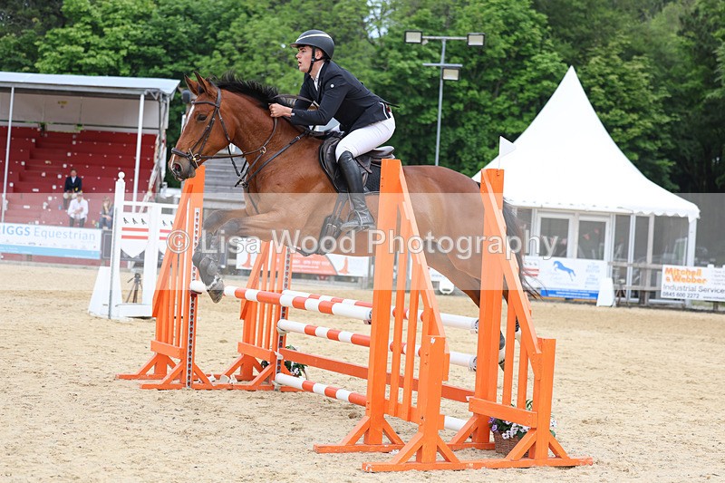 3E7A8506 - Class 4: Senior British Novice/90cm open