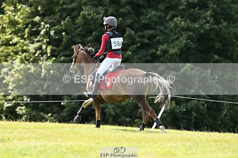 240825X-110934-31963 - 70cm XC 11.00 to 12.00