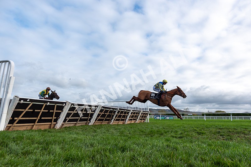 161125-Race 1-Astelia-2904 - Race 1
