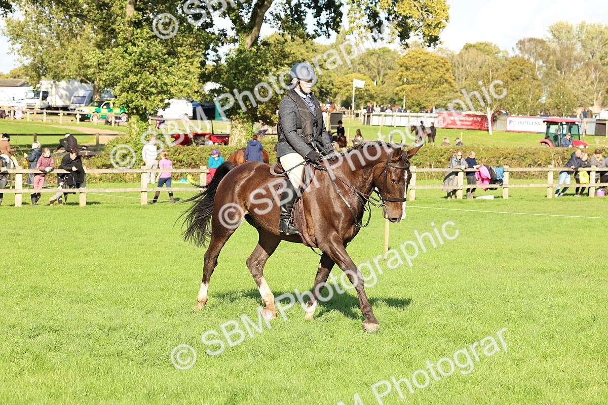SBM_50148 - S34 - Novice & Newcomers Working Hunter