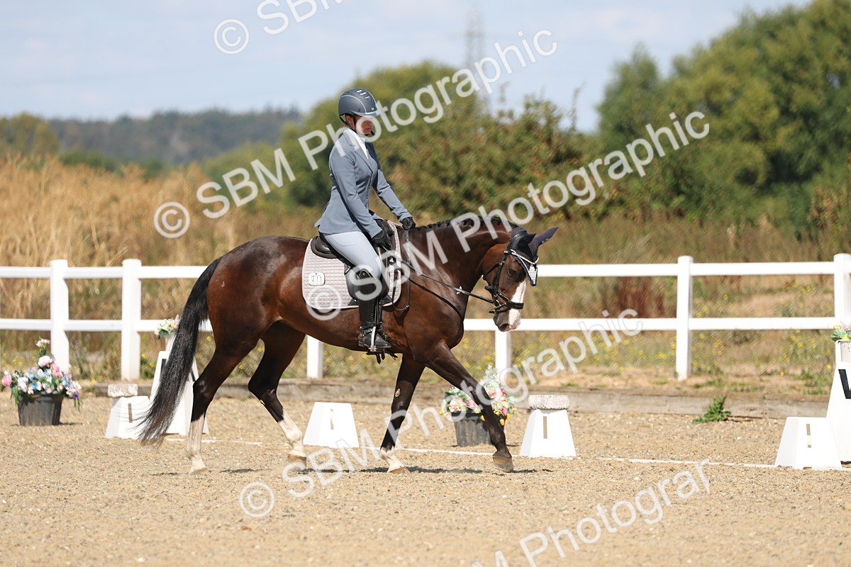 SBM_013609 - Class 1 - P5 Bronze 10.38.12.02