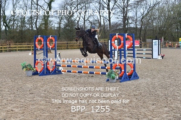 BPP_1255 - CLASS 4 Club/ Unaffiliated 80cms Open