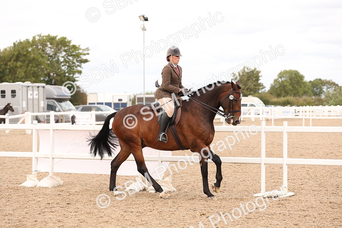 SBM_17206 - Class 213 - Ridden Hunter - Large