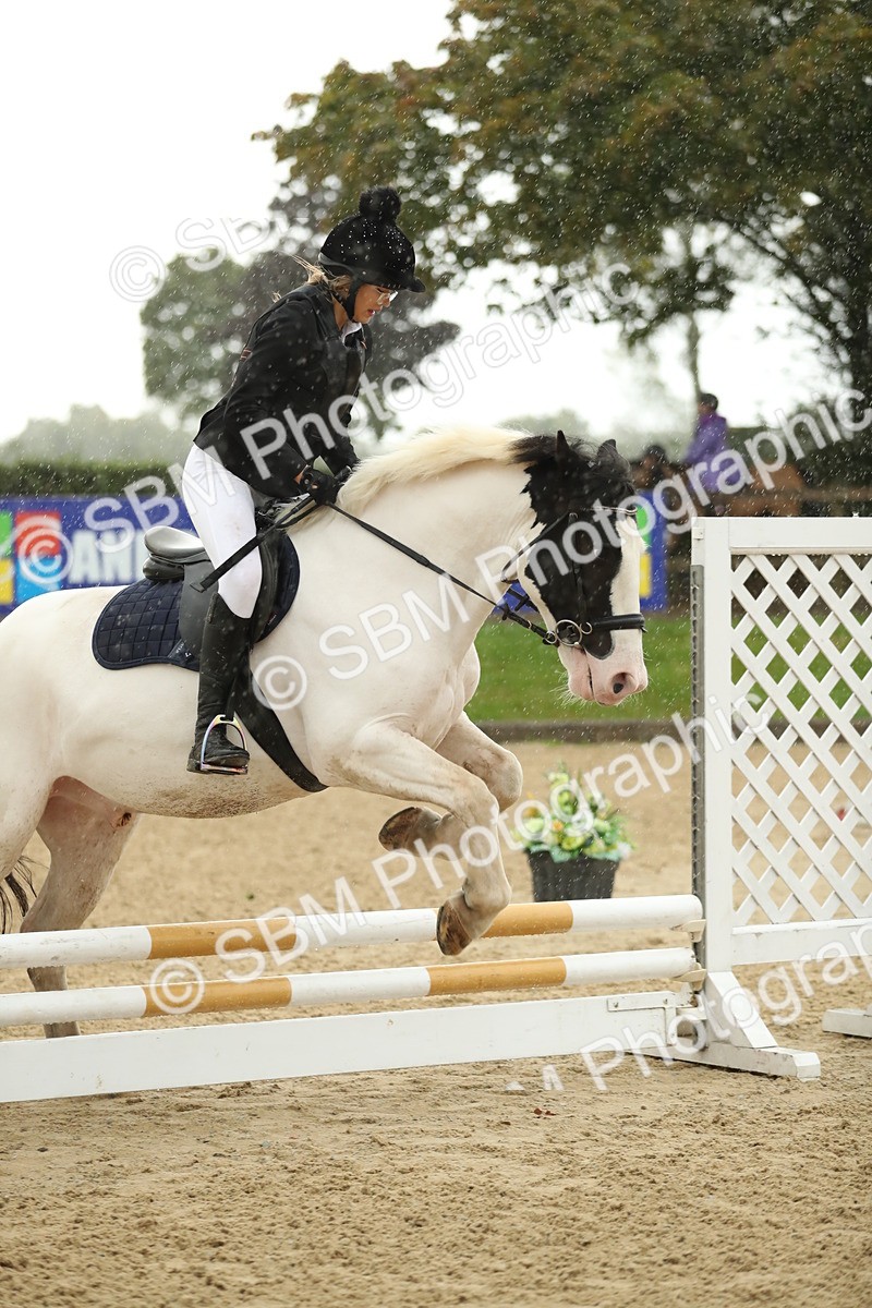 SBM_34289 - J60 Clear Round 50cm