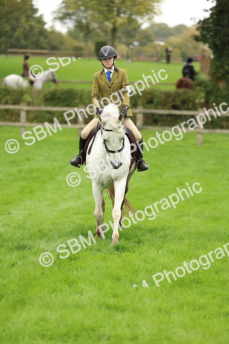 1I0A1454 - S32 - Mountain & Moorland Working Hunter Pony