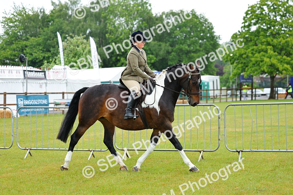 SBM_00868 - Class 1-4 - BSPA Ridden