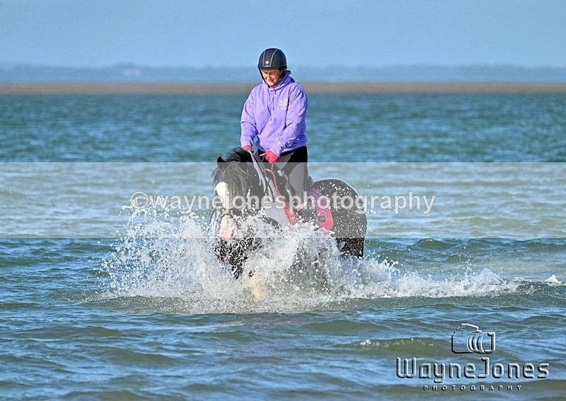 WJ7_3403_1 - Kellie & Churchill ... do Hayling Island 25-08-24