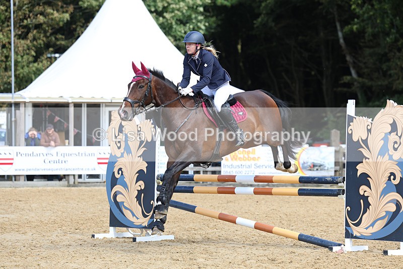 3E7A9107 - Class 9: Senior British Novice/90cm open