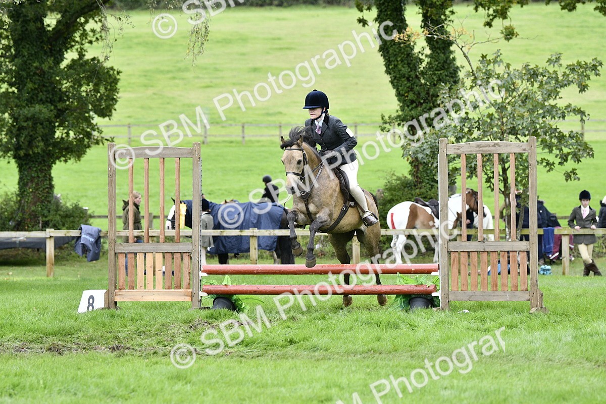 SBM_41358 - S32 - Mountain & Moorland Working Hunter Pony