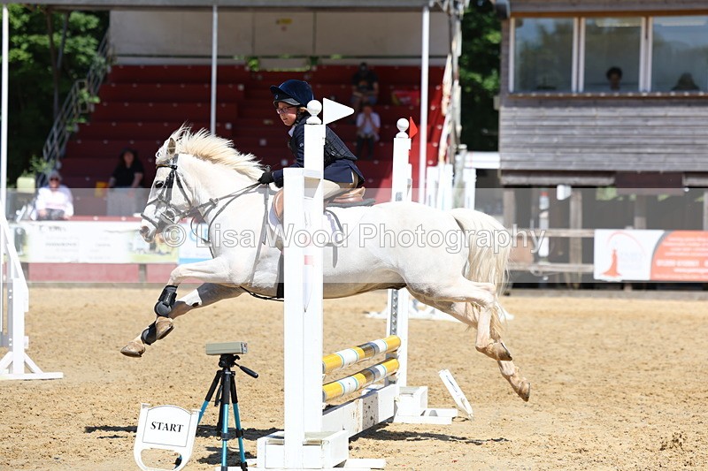 3E7A2347 - Class 4/5: 60cm Open Teams and Individuals