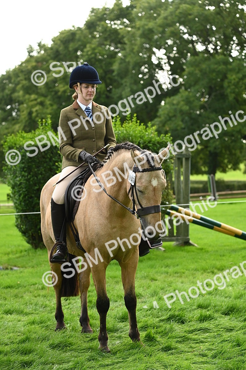 SBM_26369 - S6 - Novice & newcomer Ridden horse