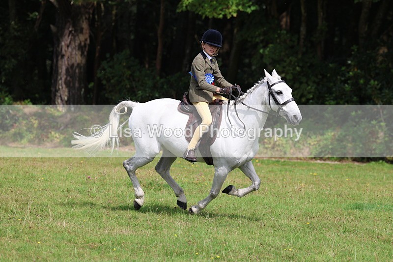 3E7A6095 - Working Hunter Championship