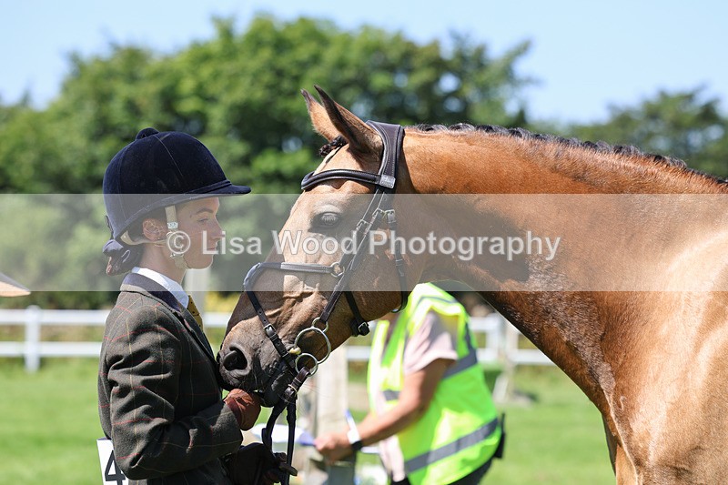 3E7A9069 - Class 6: Open Working Horse