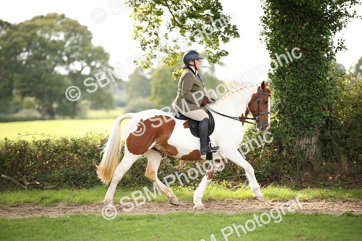 SBM_70372 - S66 - Hunter Ridden