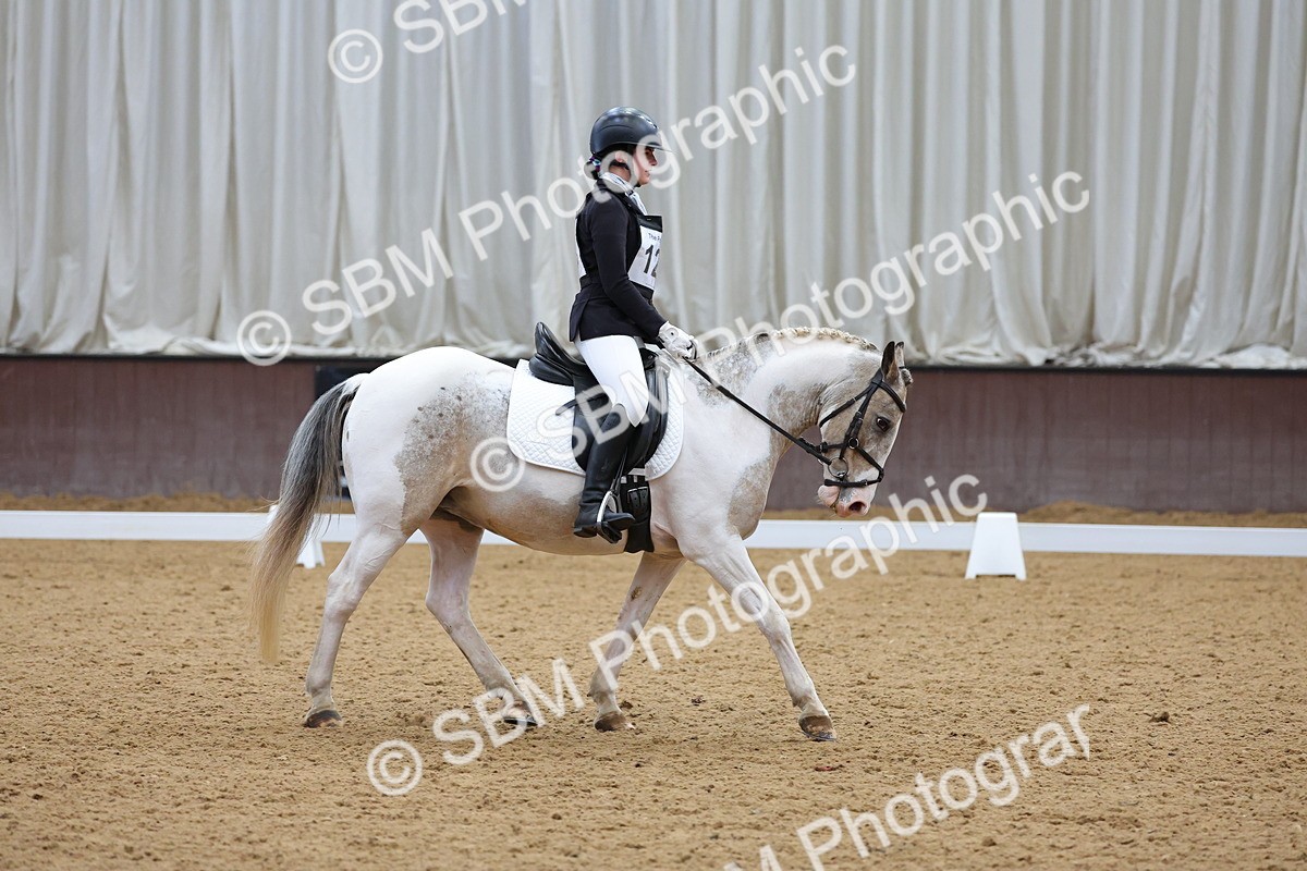 SBM_002681 - Novice